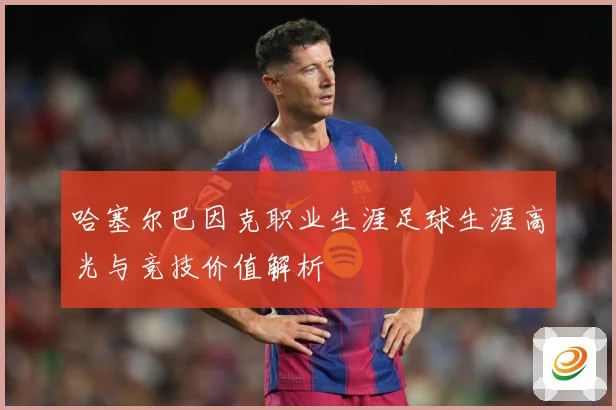 哈塞尔巴因克职业生涯足球生涯高光与竞技价值解析