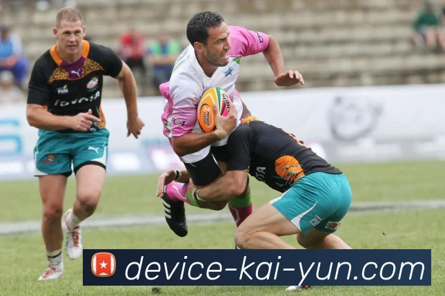 开云平台展示图