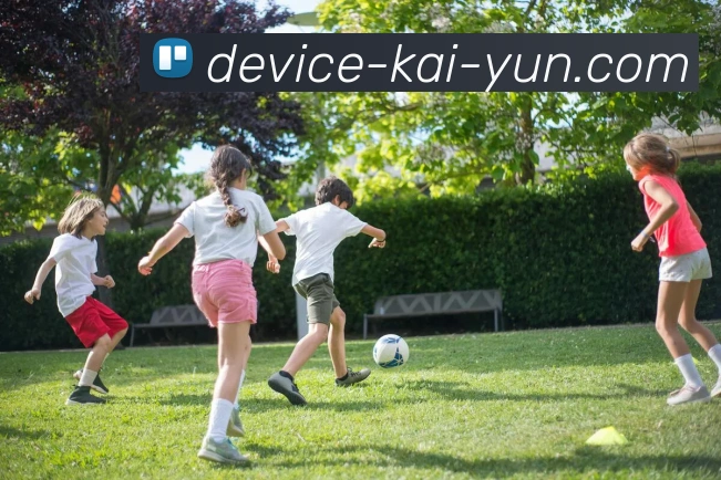 开云登录入口官网全新指南与最新功能详解